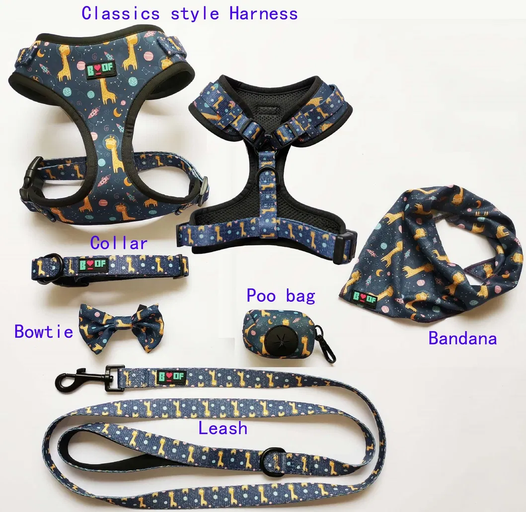 Dog Collar Detail