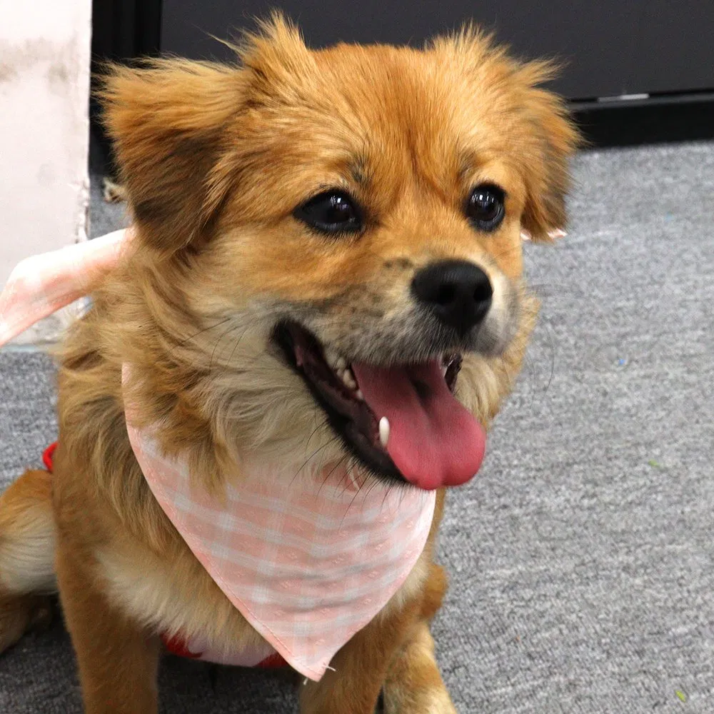 Amazon Hot Sales Pet Cotton Double Layer Printed Plaid Triangle Dog Bandana Customized Scarf Custom Logo Dog Bandana Collar