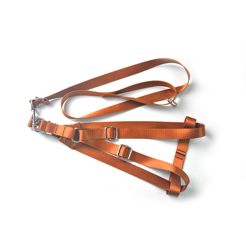 Custom Personalized Luxury Pet Harness Set with Collar Leash