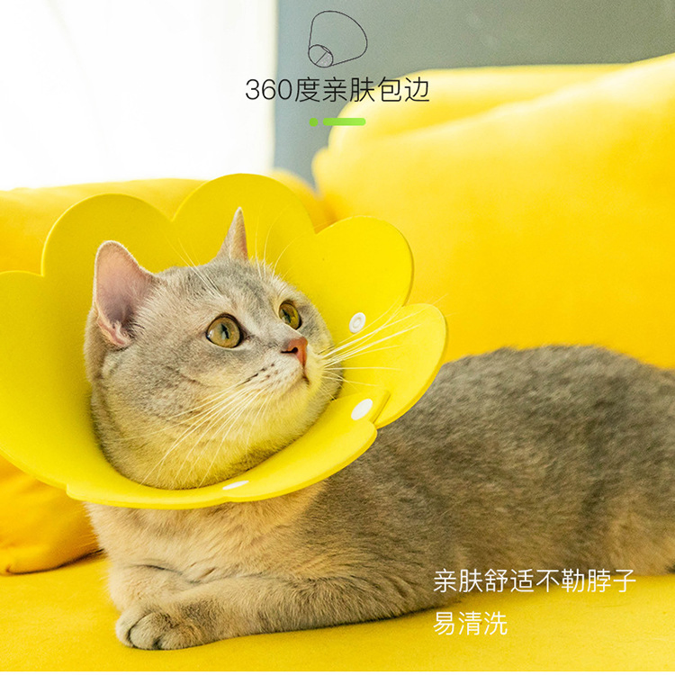 Pet Products Wholesale Sunflower Elizabethan Ring Cat Color Anti-Licking Collar