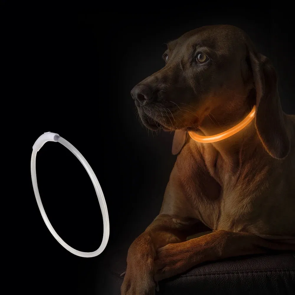 LED Luminous Collar 10