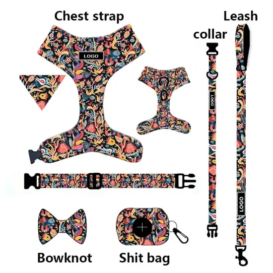 2024 New Designer OEM No Pull Reversible Dog Harness Adjustable Pet Dog Harness Leads Custom Dog Harness