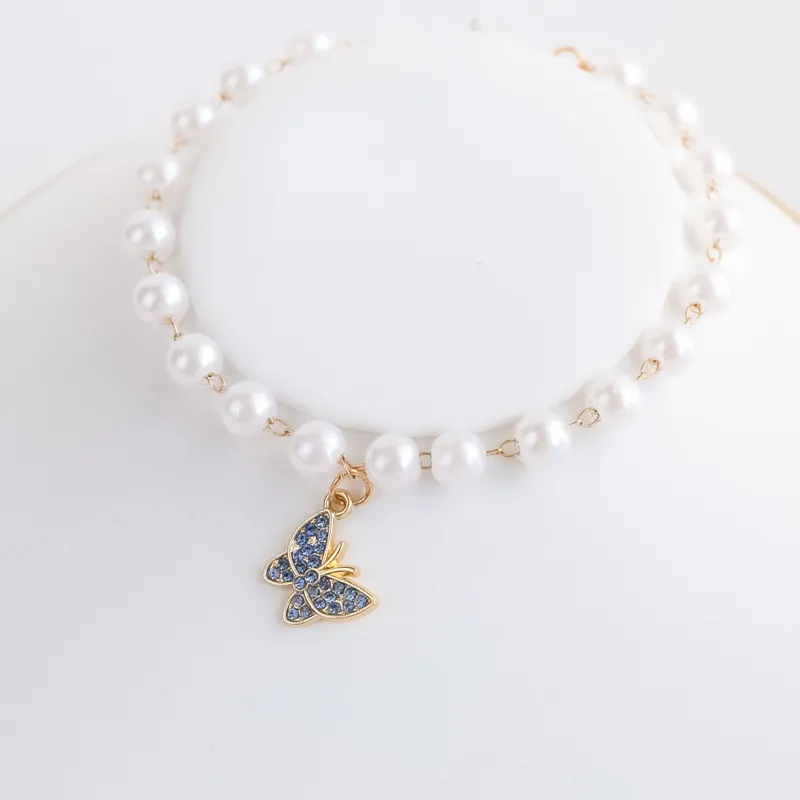 Premium Pet Collar Display