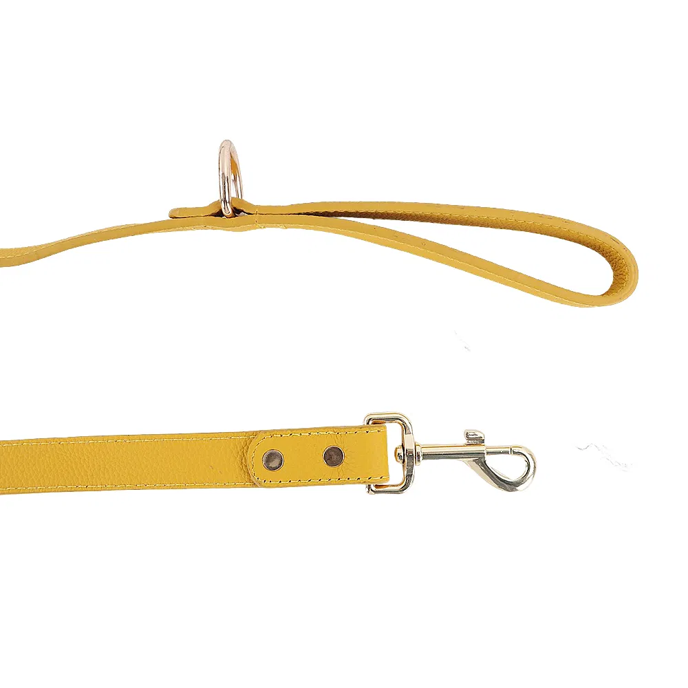 Luxury Dog Collar Detail 6