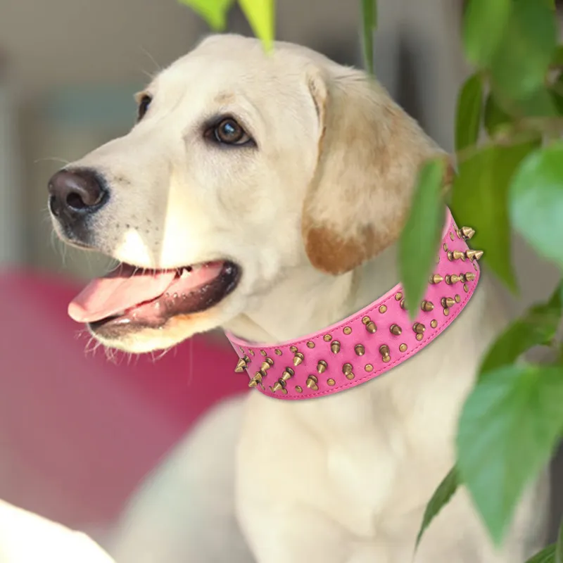 PU Dog Collar Rivet Decoration