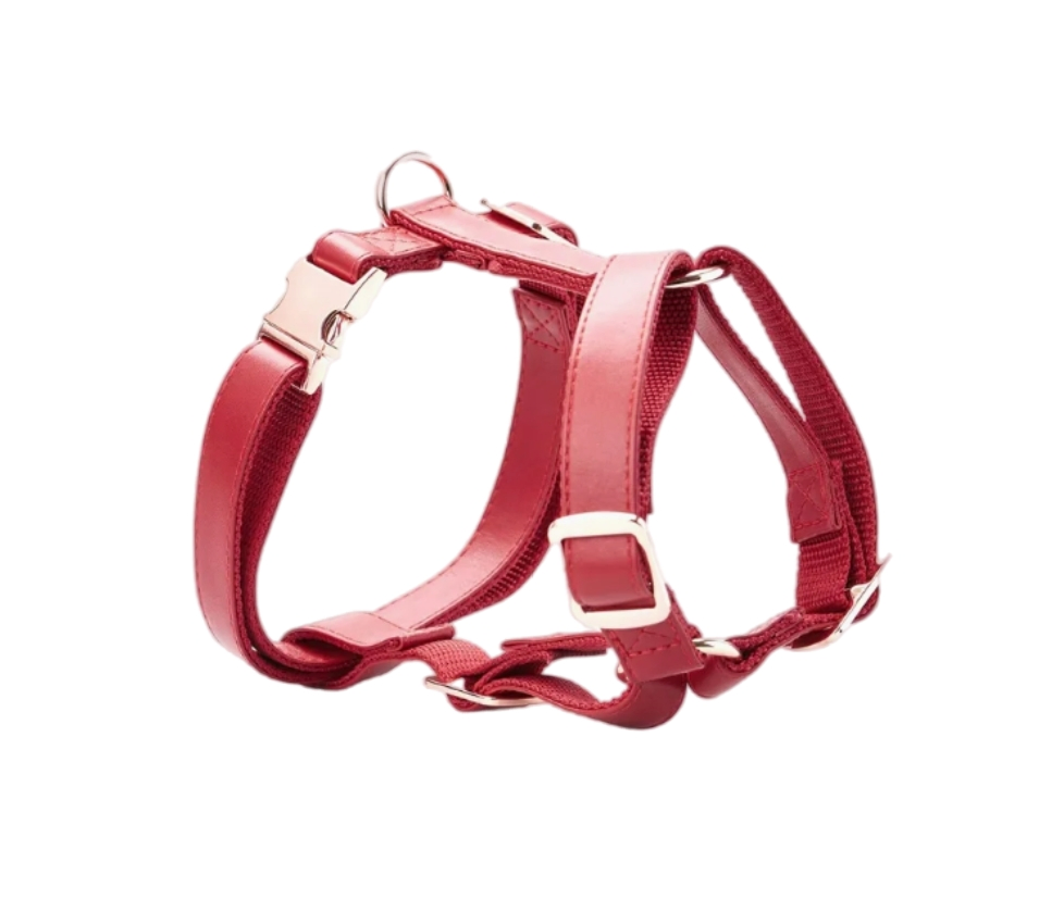 Stylish Adjustable Faux Leather Dog Harness for Trendy Pets