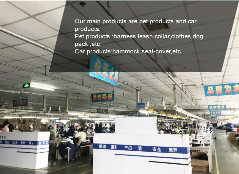 Dog Harness Detailed View