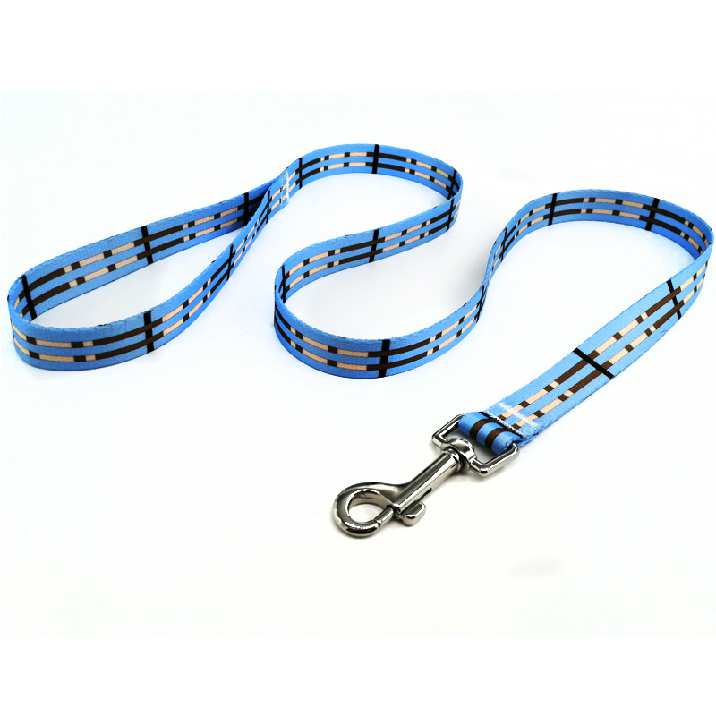 Floral Heat Transfer Pet Dog Running Leash and Collar