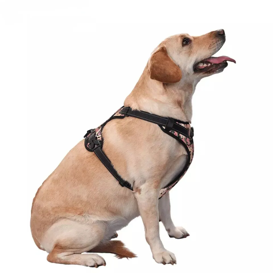 Pet Harness Detail 5