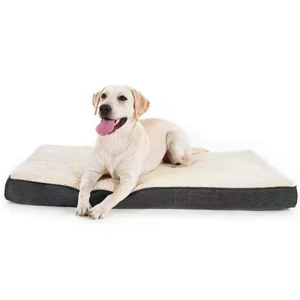 Custom Dog Beds