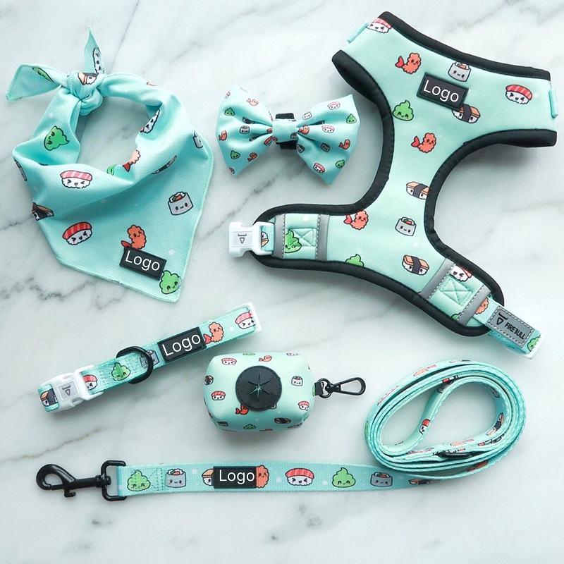 2024 Pet Haresses Set Neoprene Personalized Luxury Designer Reversible Adjustable Custom Dog Harness with Dog Collar Leash Poop Bag Holder
