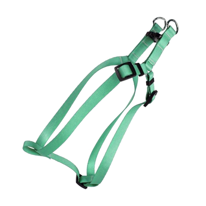 Customized Rainbow Pet Leash Dog Harness