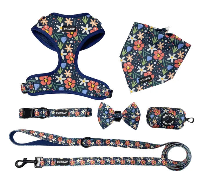 Custom Dog Harness Set from CT