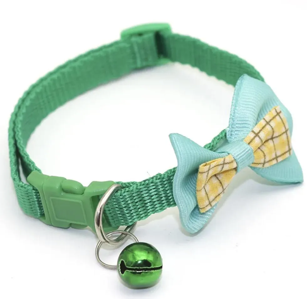 Cat Collar Display 11