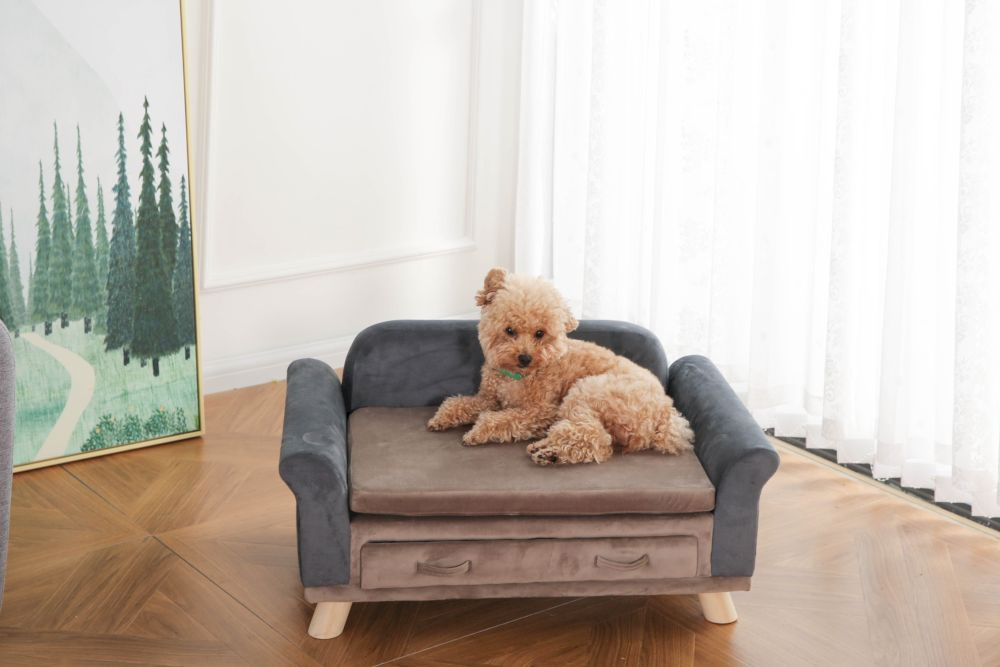 Soft Pet Sofa Bed with Drawer Storage for Cats and Dogs