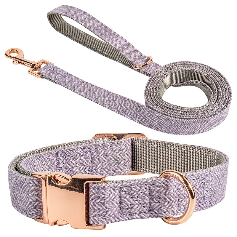 Hot Sale Rose Gold Buckle Clip Custom Color Pet Collar in Stock Adjustment Size Dog Collar and Leash Set