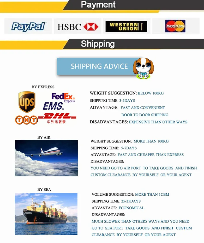 Payment and Shipping