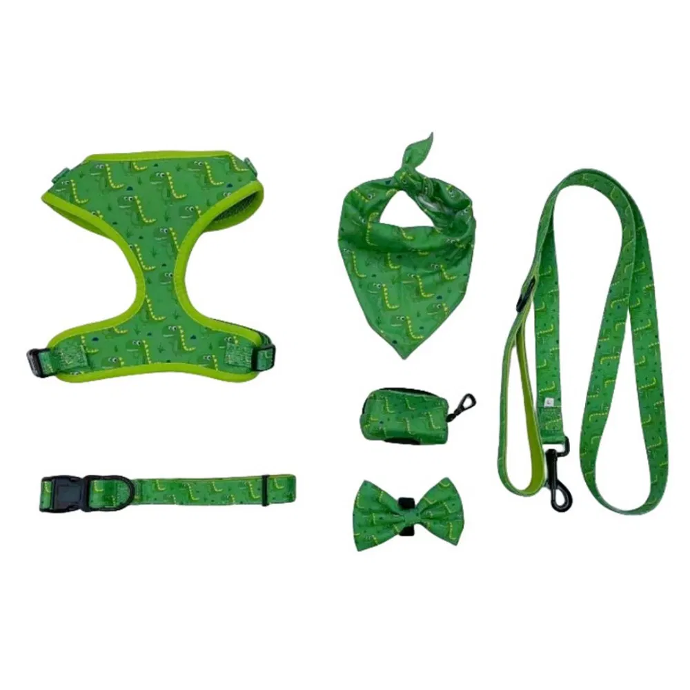 Custom Logo Dog Harness 6-Pieces Set with Small Quantity Order Pet Harness Wholesale Customized Pet Bandana Bowtie Dog Leash Dog Collar &amp; Dog Harness