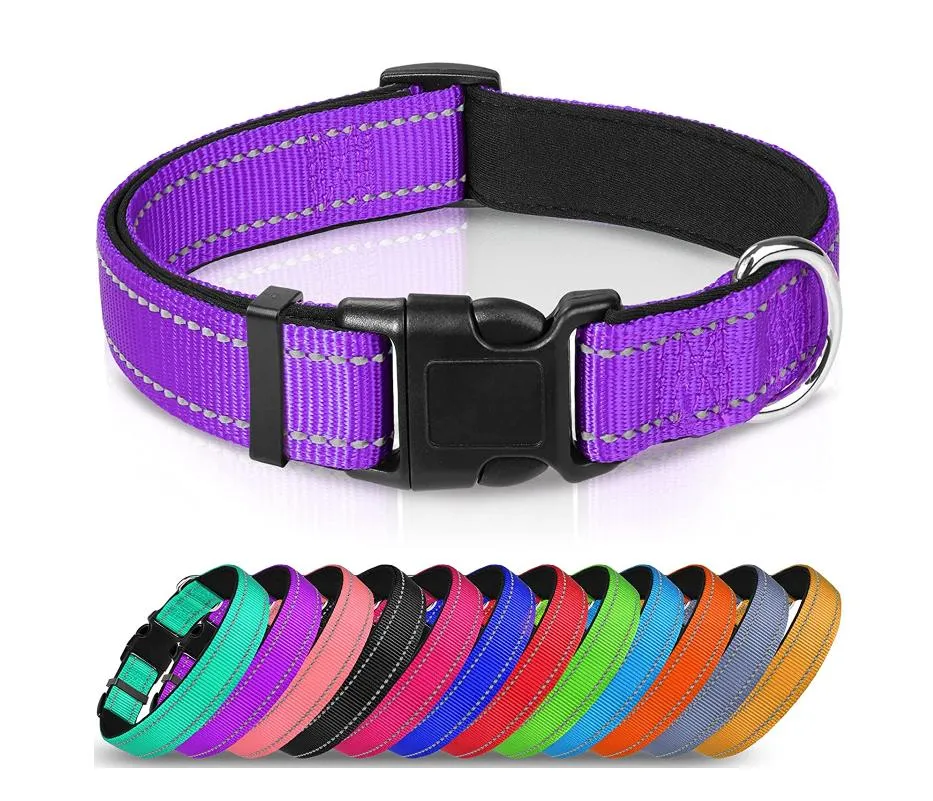 Reflective Dog Collar 9