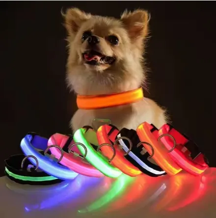LED Dog Collar Detail