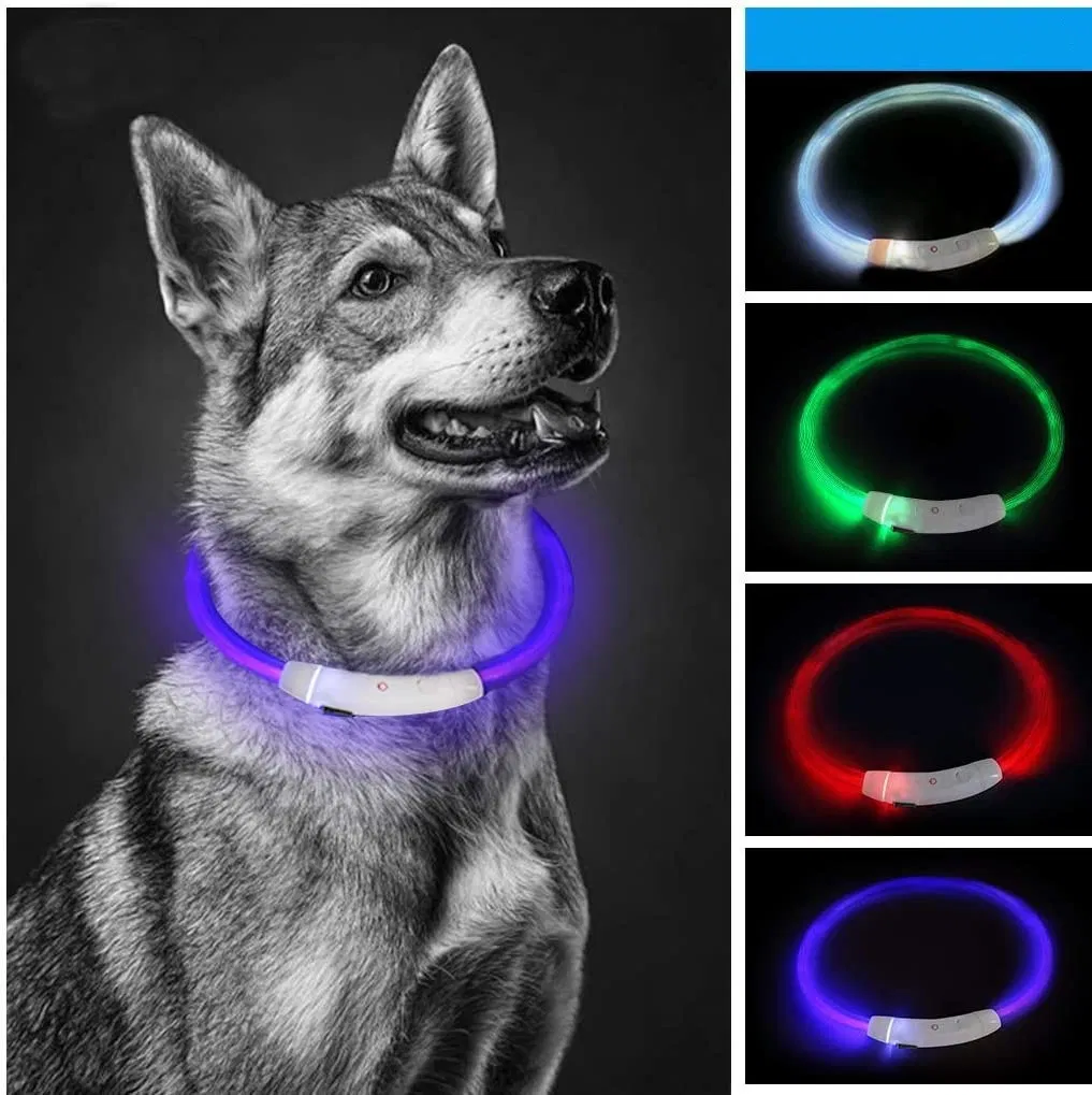 Custom Logo Running Glow in The Dark LED Pet Collar Luminous Premium Pet Puppy Reflective Water Proof Dog Collar