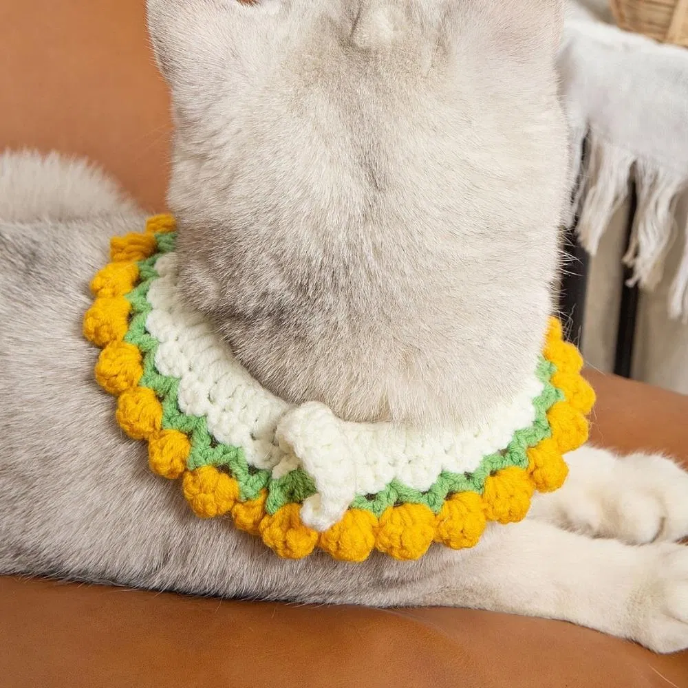 Pet Collar Photo 11