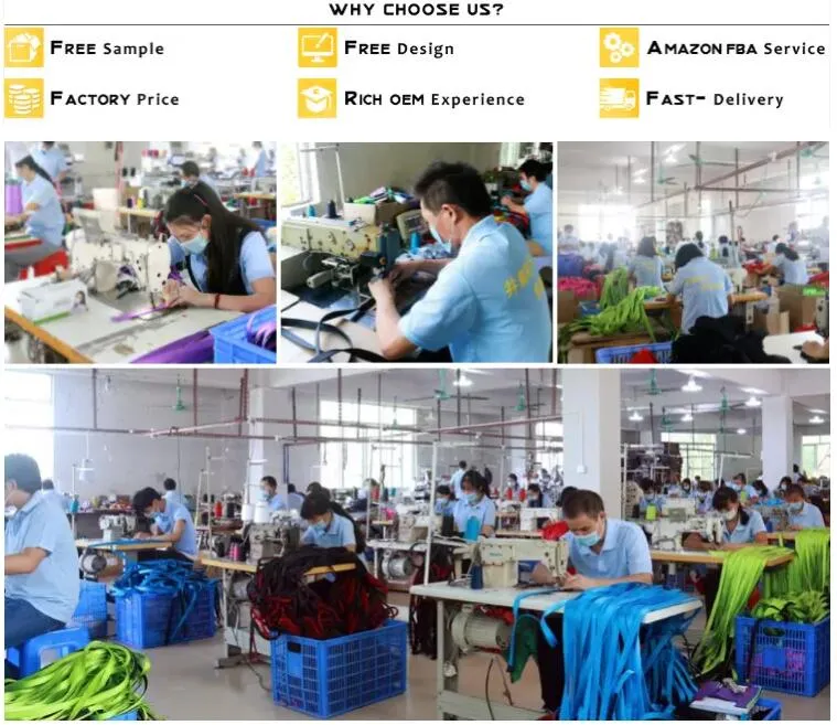 Dog Collar Application