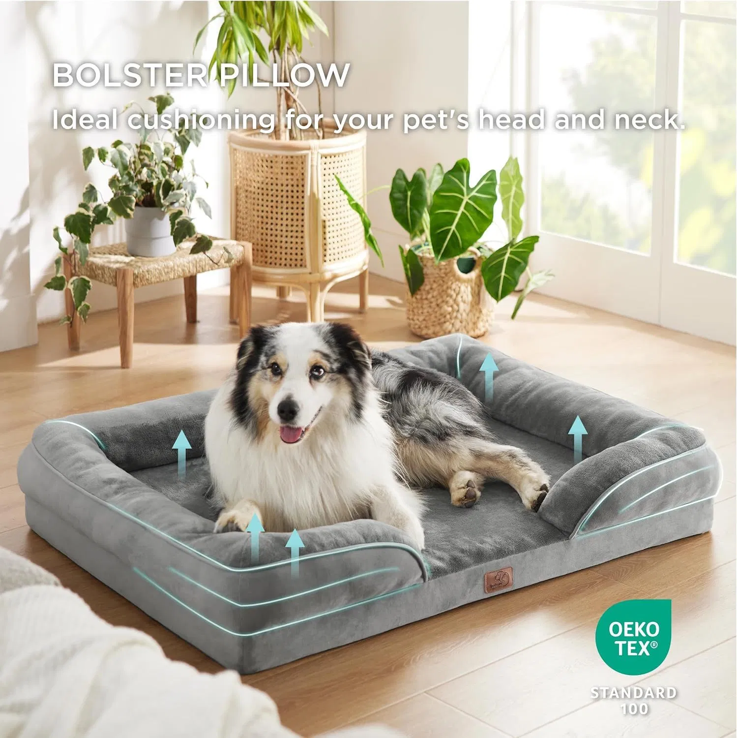 Pet Bed Design 1