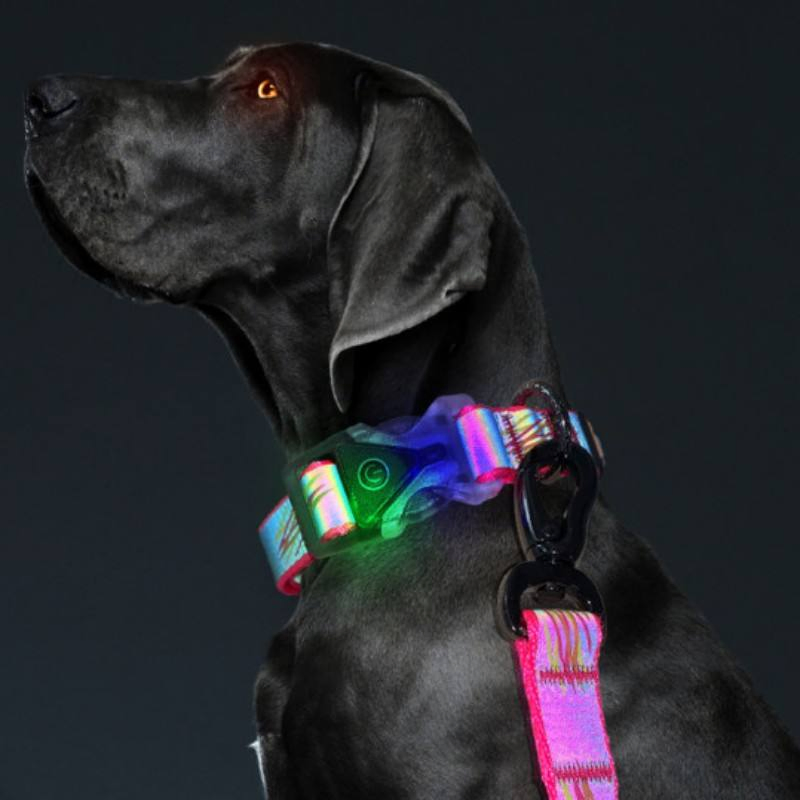 Multicolor Fashion Adjustable Luminous Reflective Safety LED Pet Collar Dog Collar