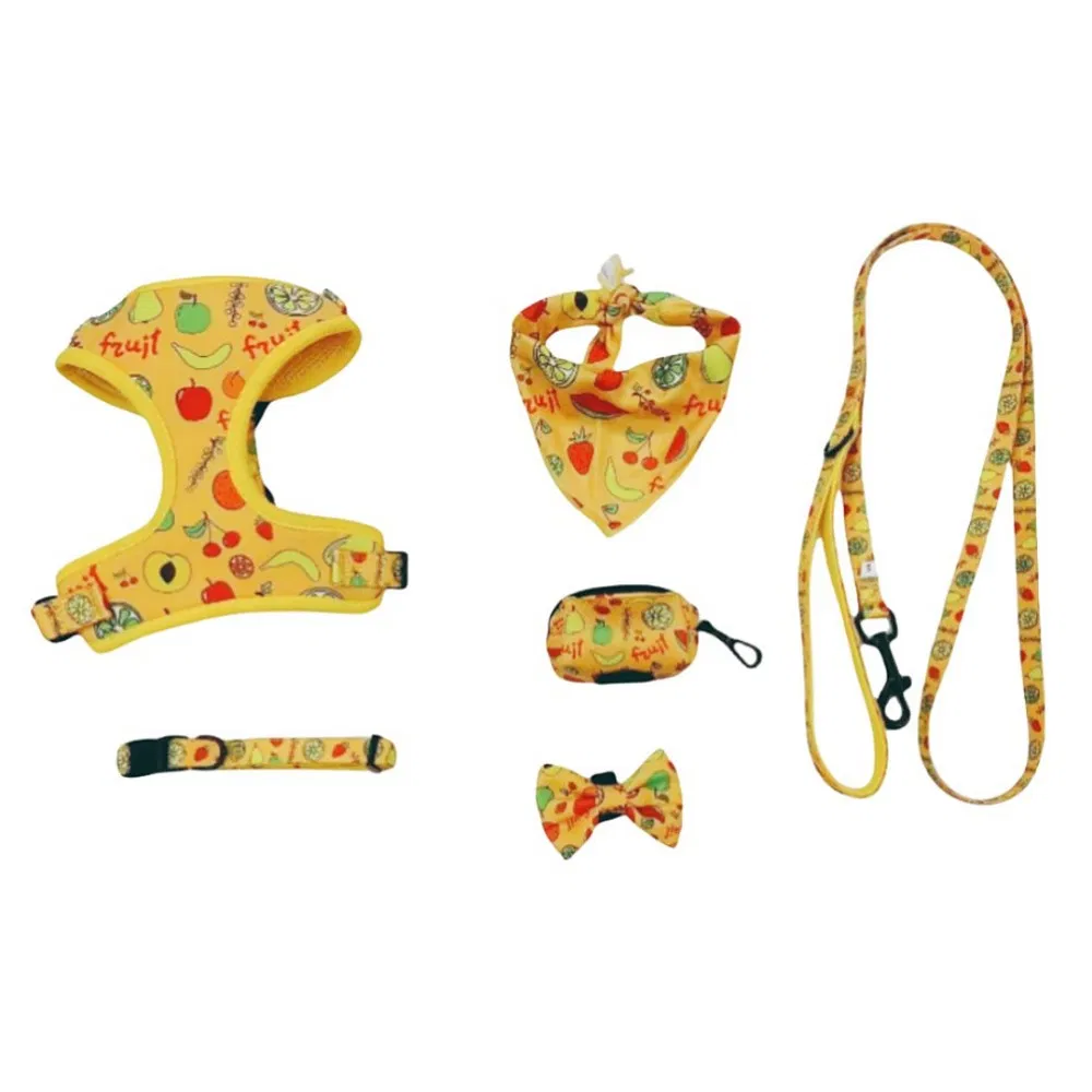 Custom Logo Dog Harness 6-Pieces Set with Small Quantity Order Pet Harness Wholesale Customized Pet Bandana Bowtie Dog Leash Dog Collar &amp; Dog Harness