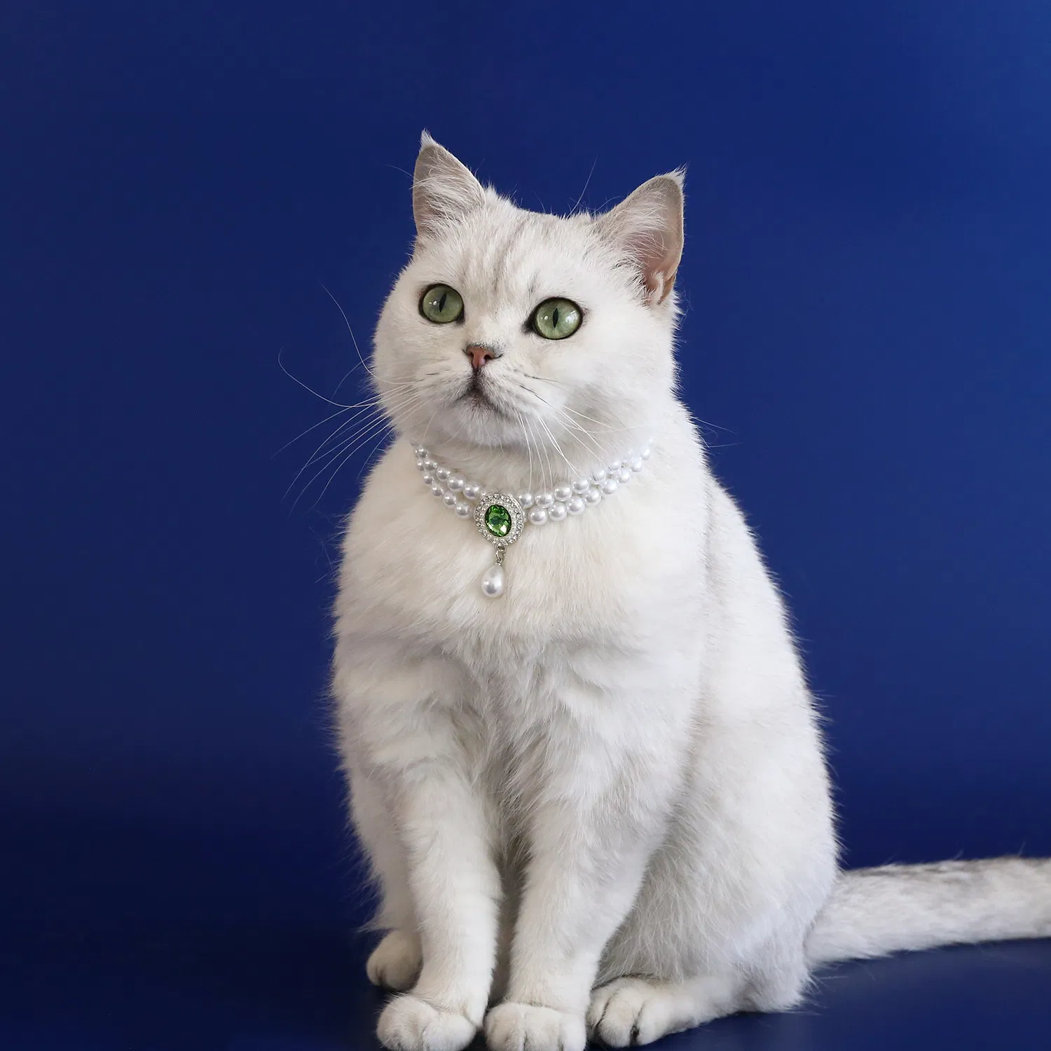 Pet Fashion Accessory