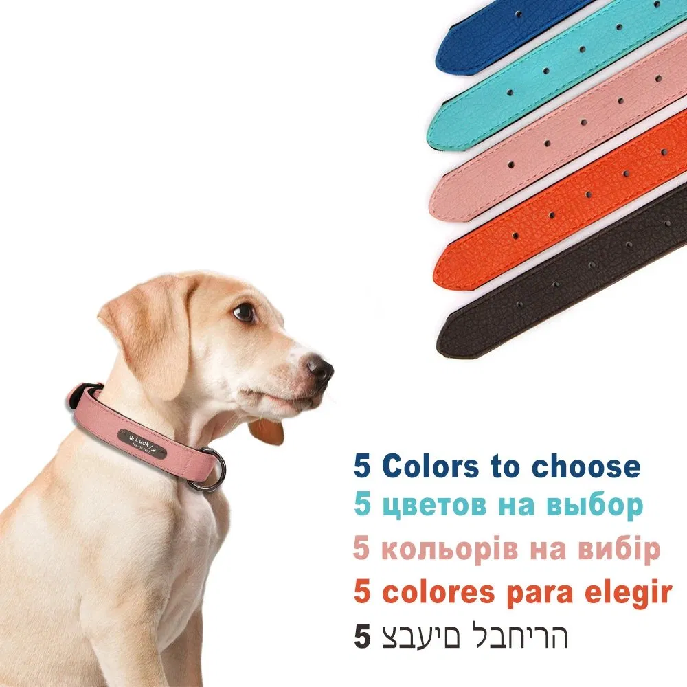 8 Colors Personalized Leather Dog Collar, Durable Pet Accessories for Pitbull &amp; Medium Large Dogs