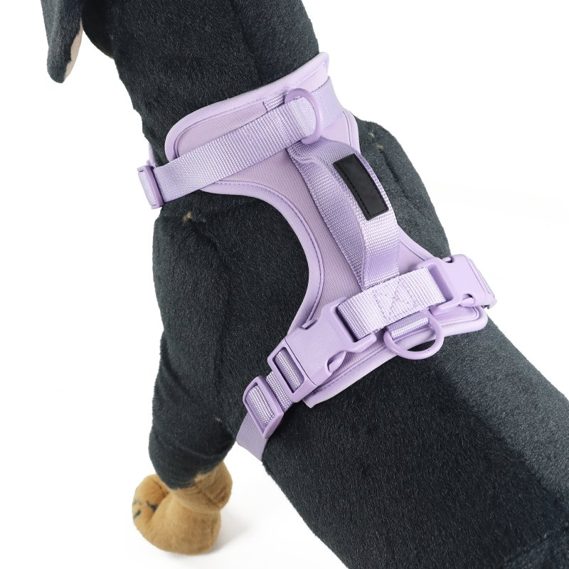 New Pet Supplies Dog Safety Harness Adjustable Soft Padded Air Layer Aesthetic Dog Harness for Pet Dogs Outdoors