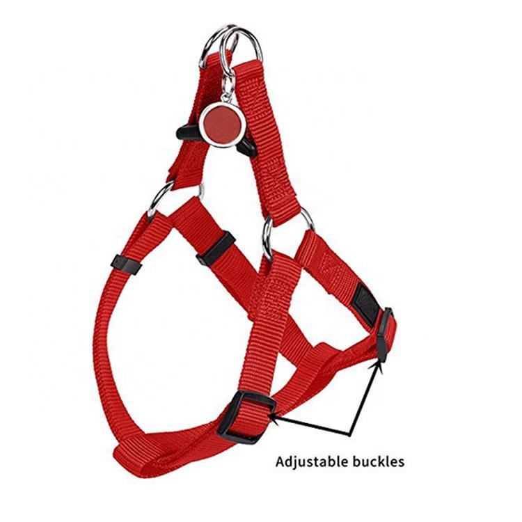 Travel Dog Cool Harness and Leash