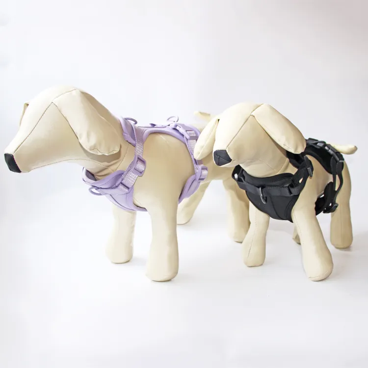 Dog Harness 6
