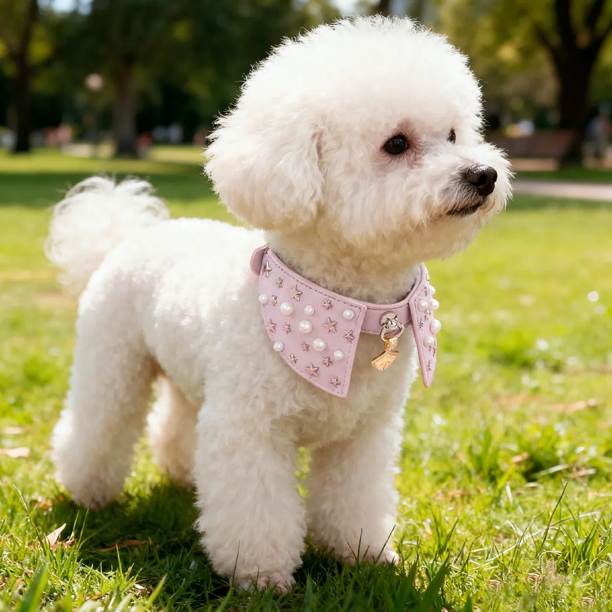 Luxury Dog Collar View 5