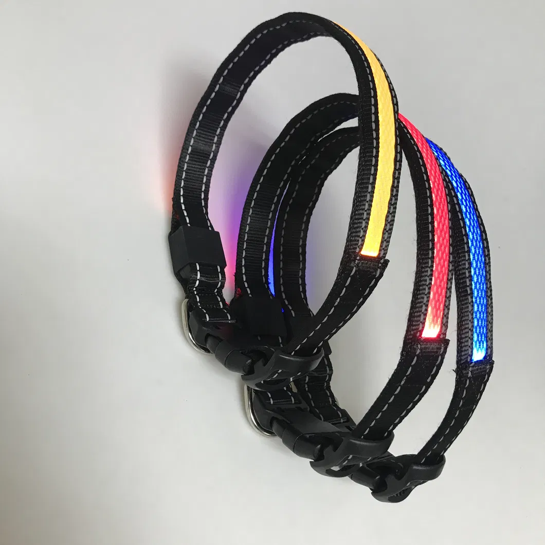 Pet Leash Details