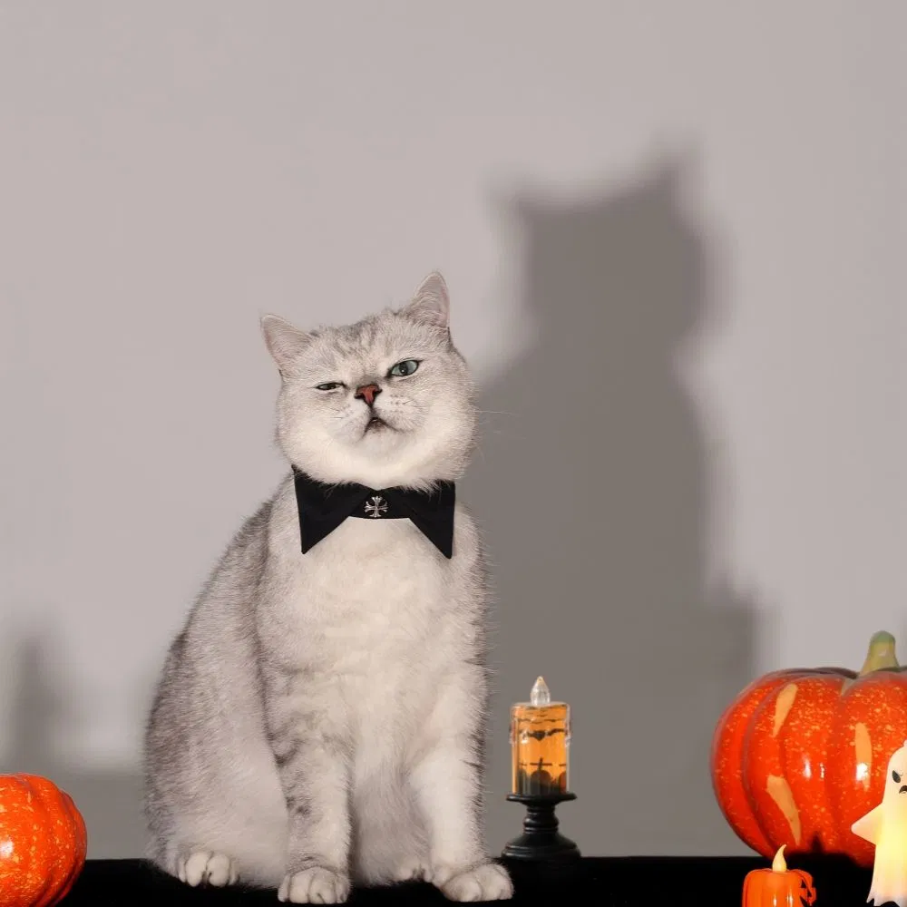 Fashion Pearl Halloween Style Pet Dog Collar Lovely Dog Cat Necklace Pet Accessories Supplies