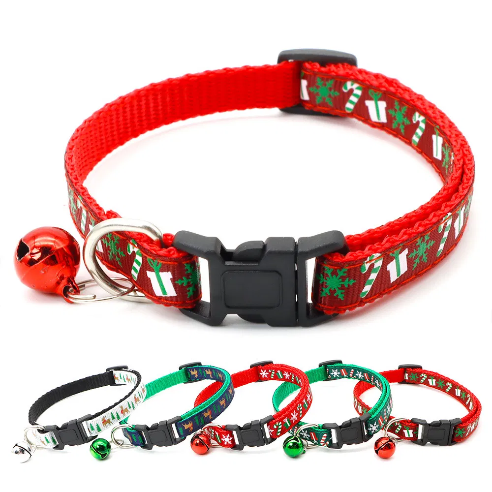 Small Pet Collar