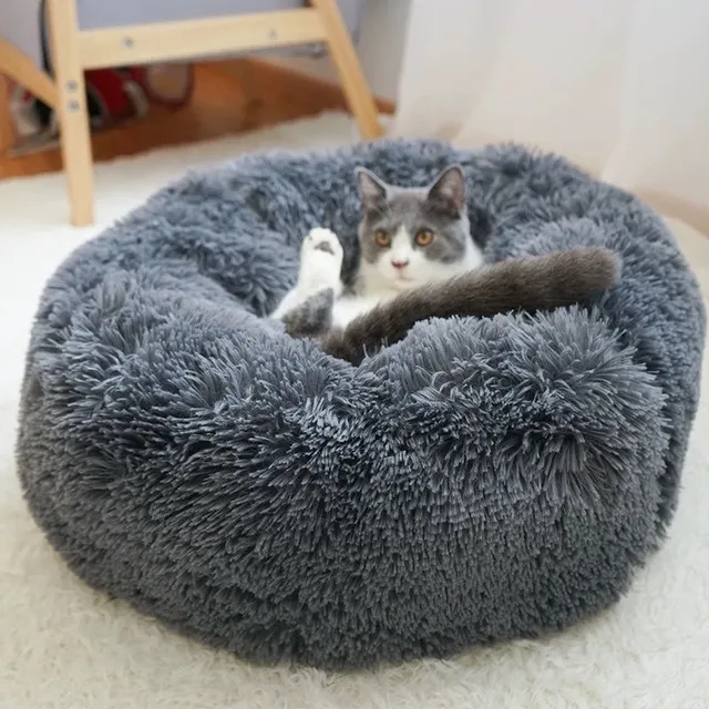 Pet Bed 6