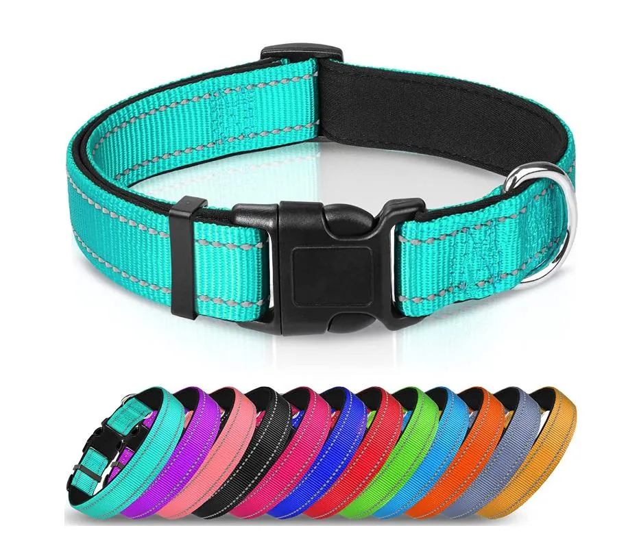 Reflective Dog Collar 7