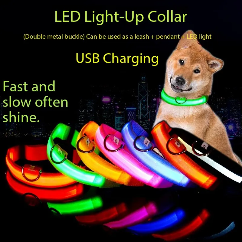 LED Pet Collar 1