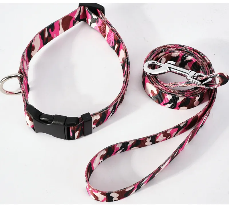 Dog Leash and Collar Set