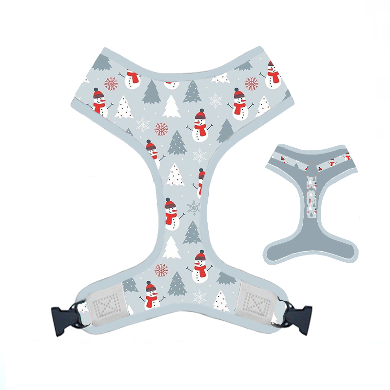 2023 Hot Sale Puppy Macaron Series Pet Harness and Collar