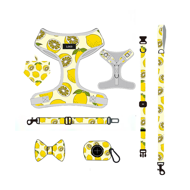 Hot-Selling Pet Supplies Dog Harness Leash Collar Set with Color Personalized Nylon Animal Soft Cushion Pet Toy/Wholesale