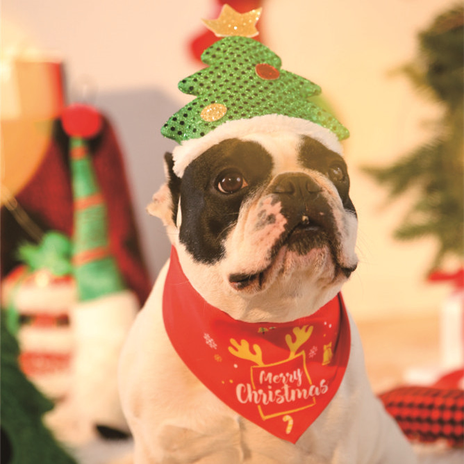 Christmas Dog Pet Bandana Head Scarf Bow Tie Collar