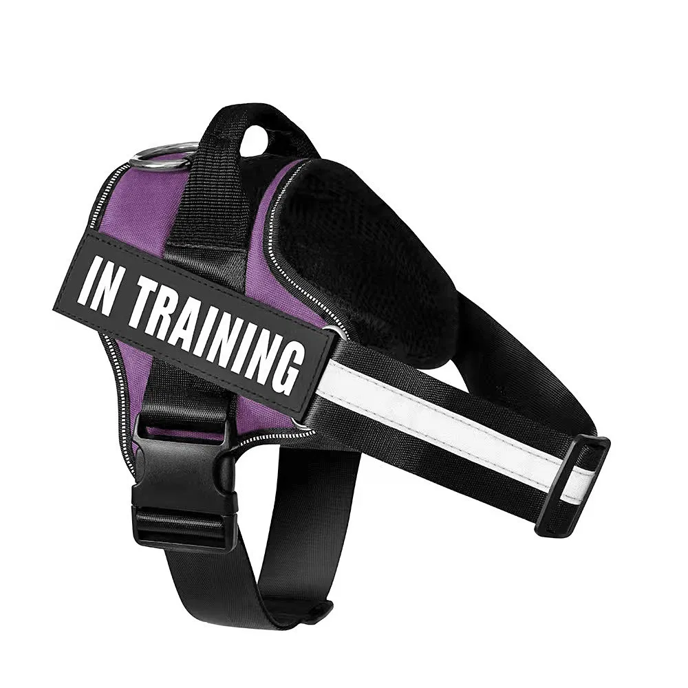 Dog Harness Detail 2