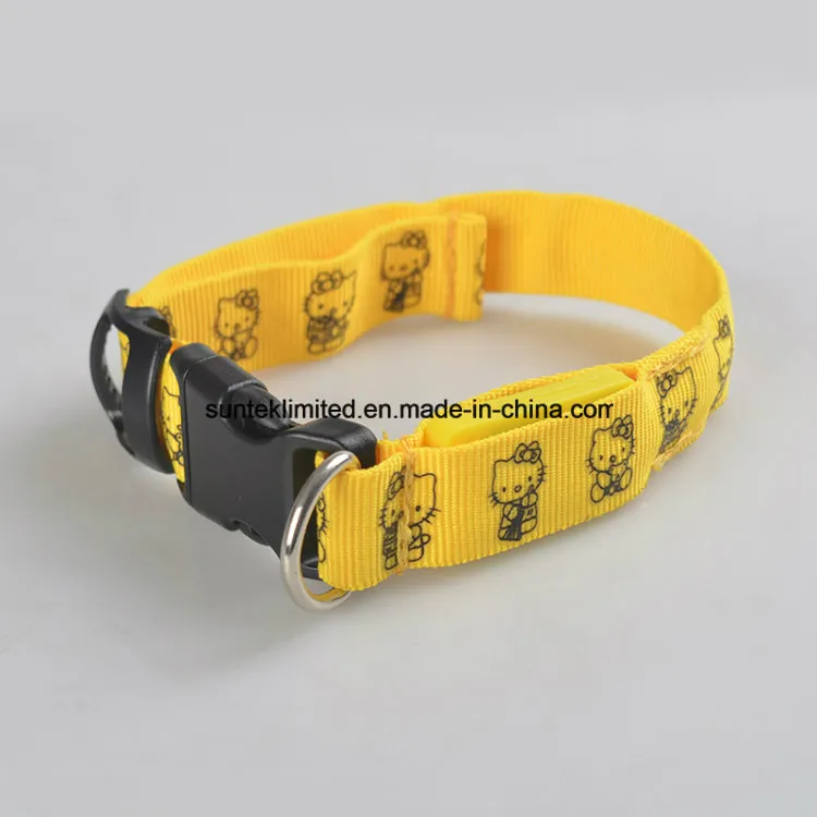 LED Dog Collar View 1