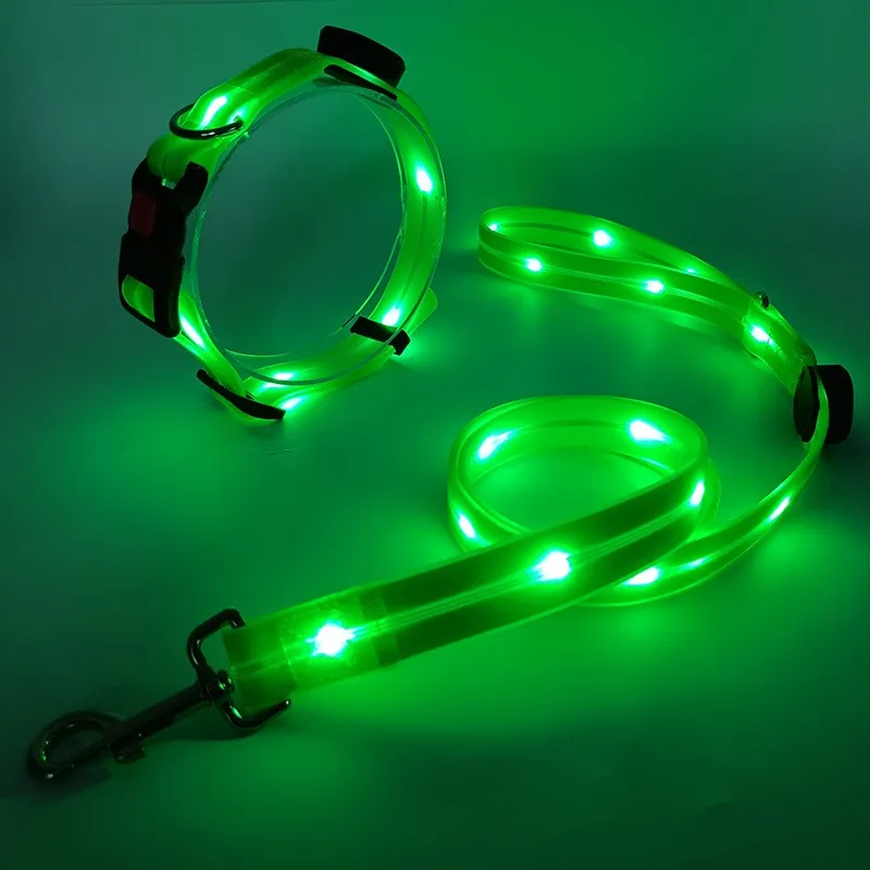 Safety LED Pet Collar