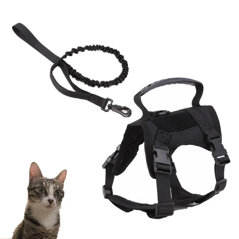 Pet Harness Photo 3